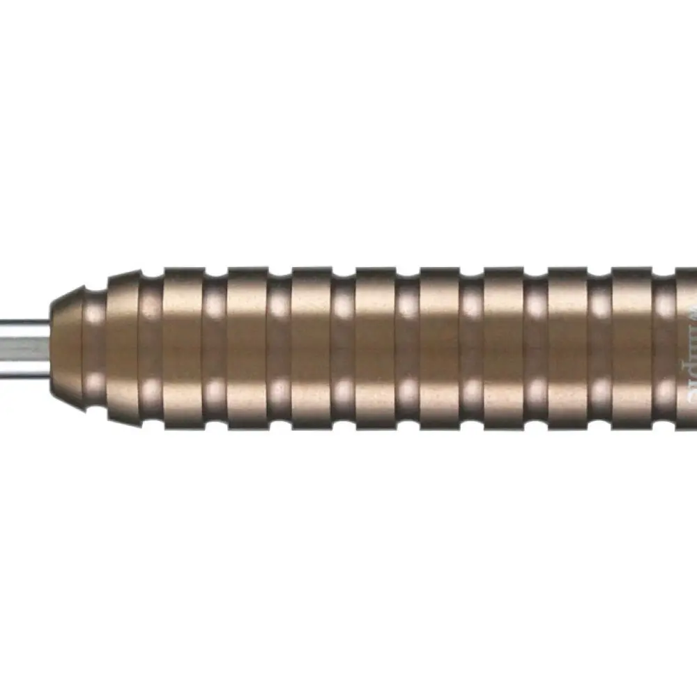 Dardos Dynasty Darts Wimpie Willem Mandigers Model 23g 90% vista 3