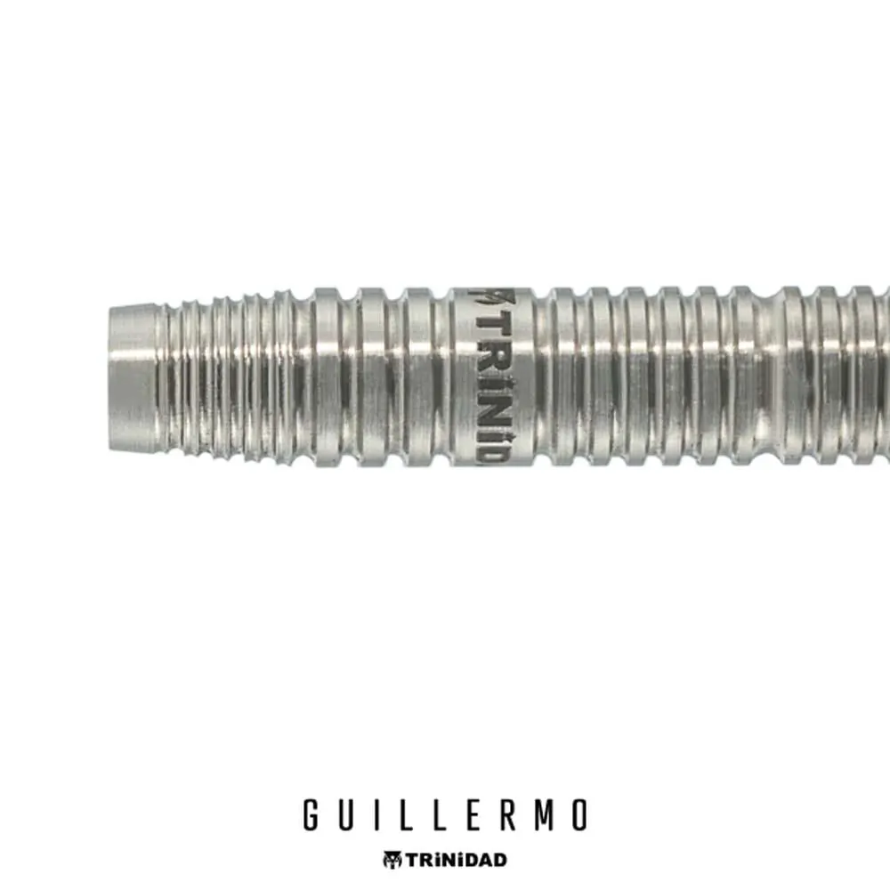 Dardos Trinidad Darts Guillermo 90% Tungsteno 20.5g Profesionales vista 2