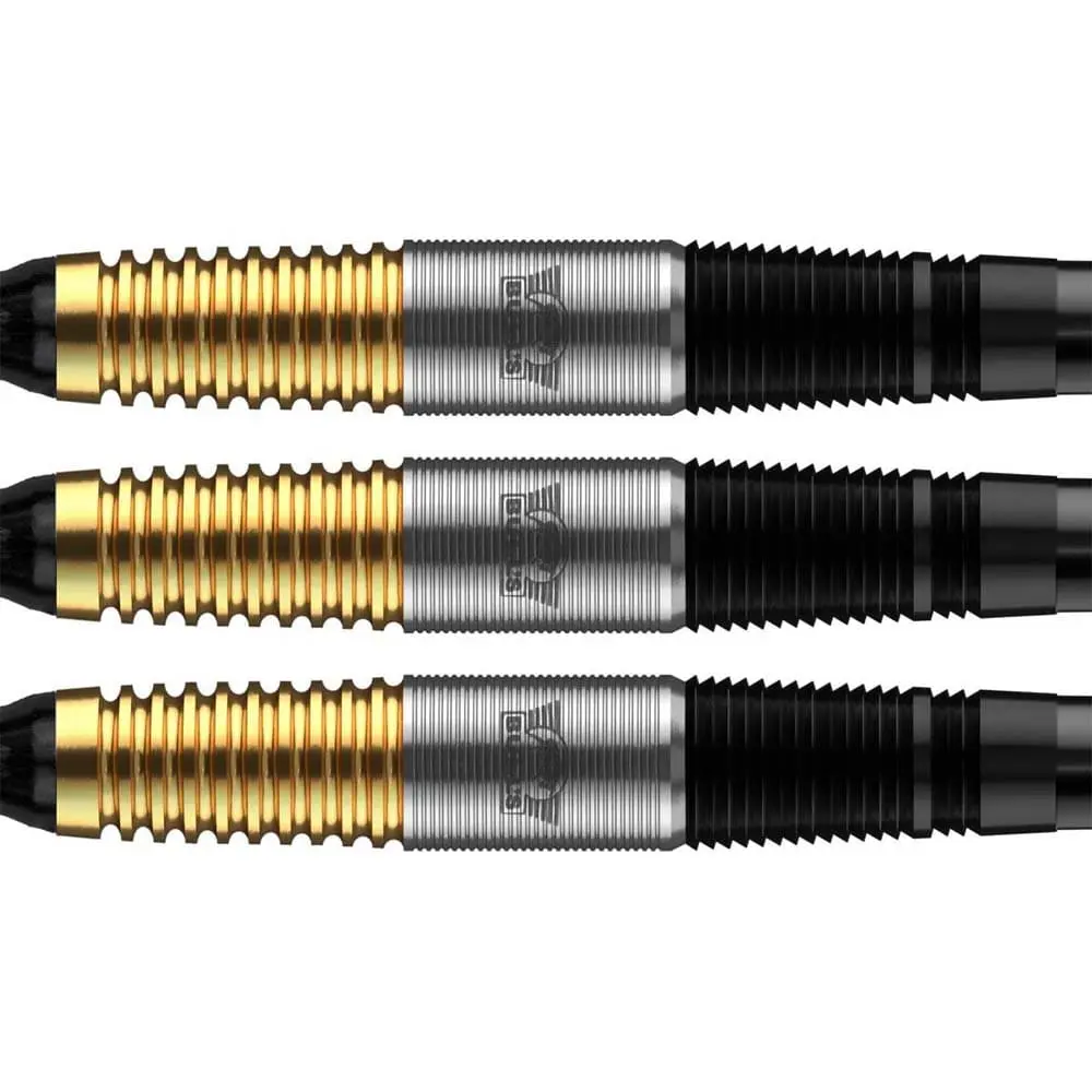 Dardos Bulls DE Massimo Dalla-Rosa 90% Tungsteno 20g Profesionales vista 2