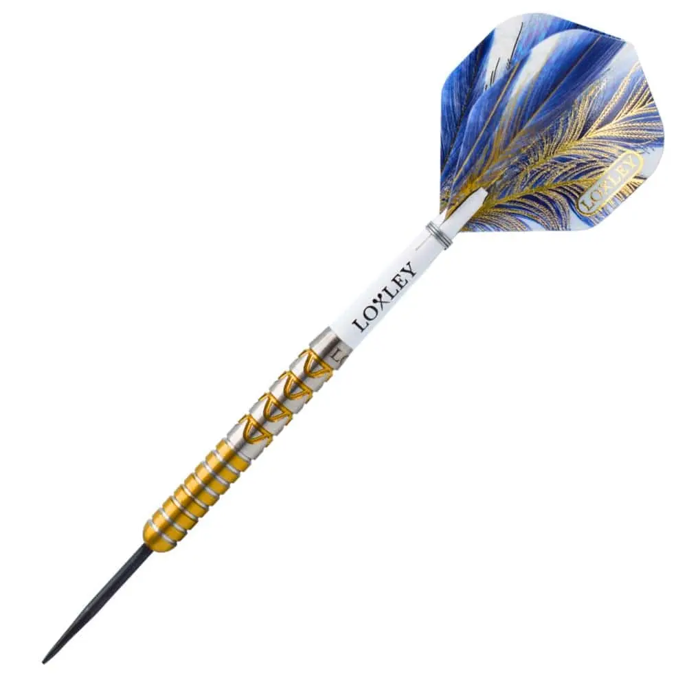 Dardos Loxley Darts Robbie Knops The Saiyan 90% 22g Punta Acero vista 2