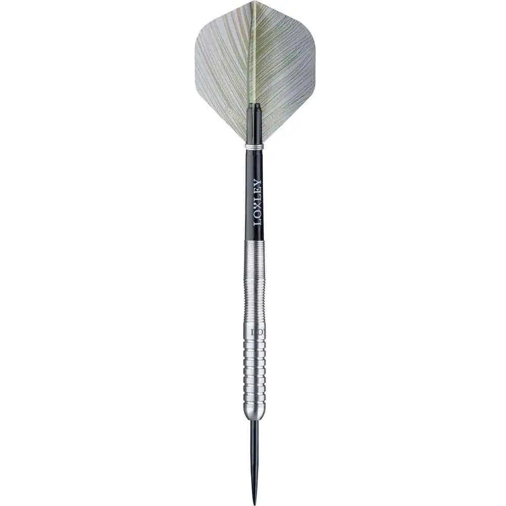 Dardos Loxley Darts Sorcerer 21g 90% Punta Acero vista 3