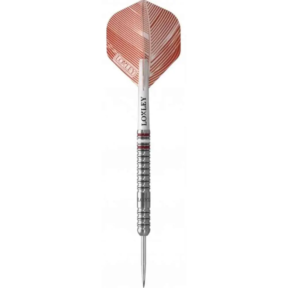 Dardos Loxley Darts Rock Eagle 23g 90% Punta Acero vista 3