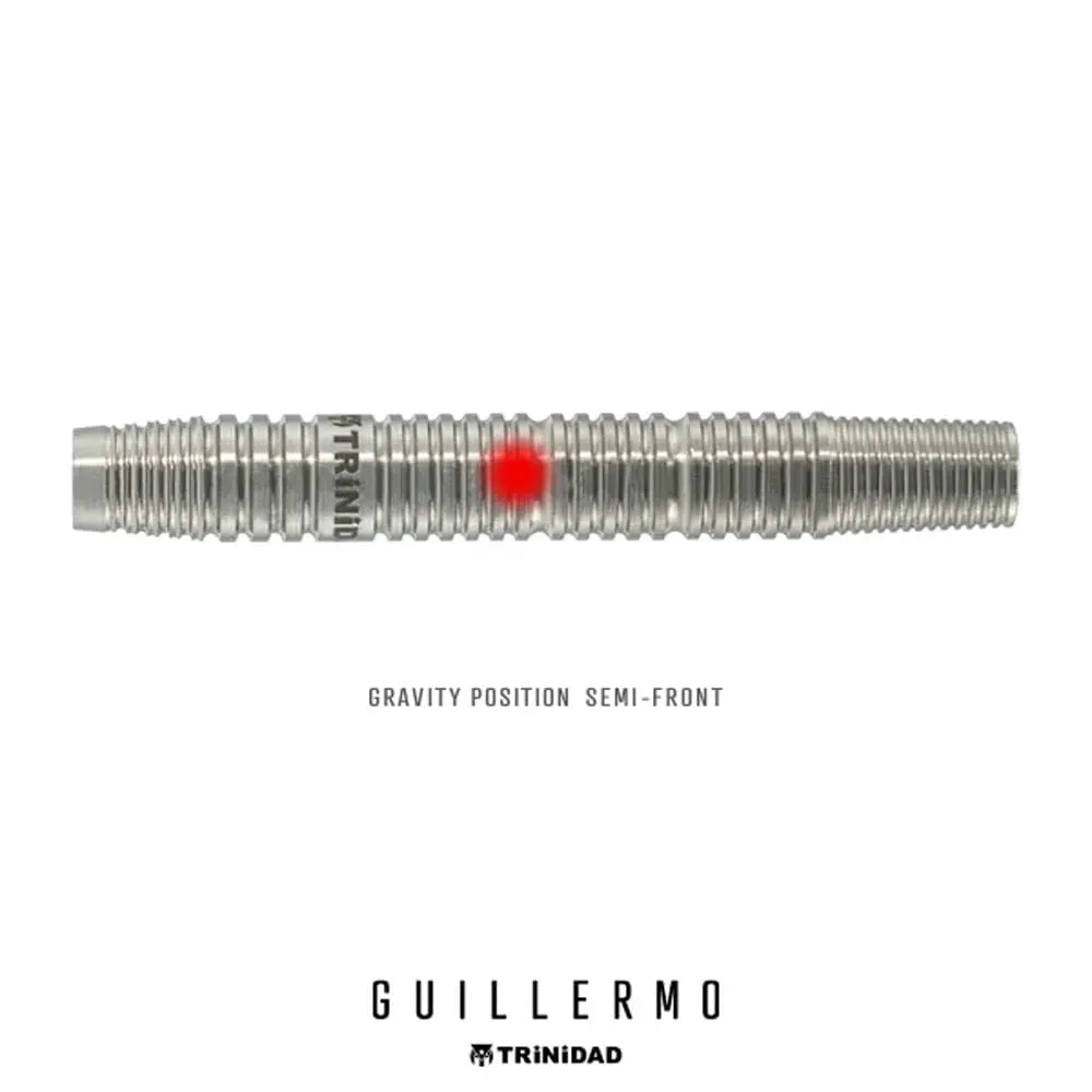 Dardos Trinidad Darts Guillermo 90% Tungsteno 20.5g Profesionales vista 4