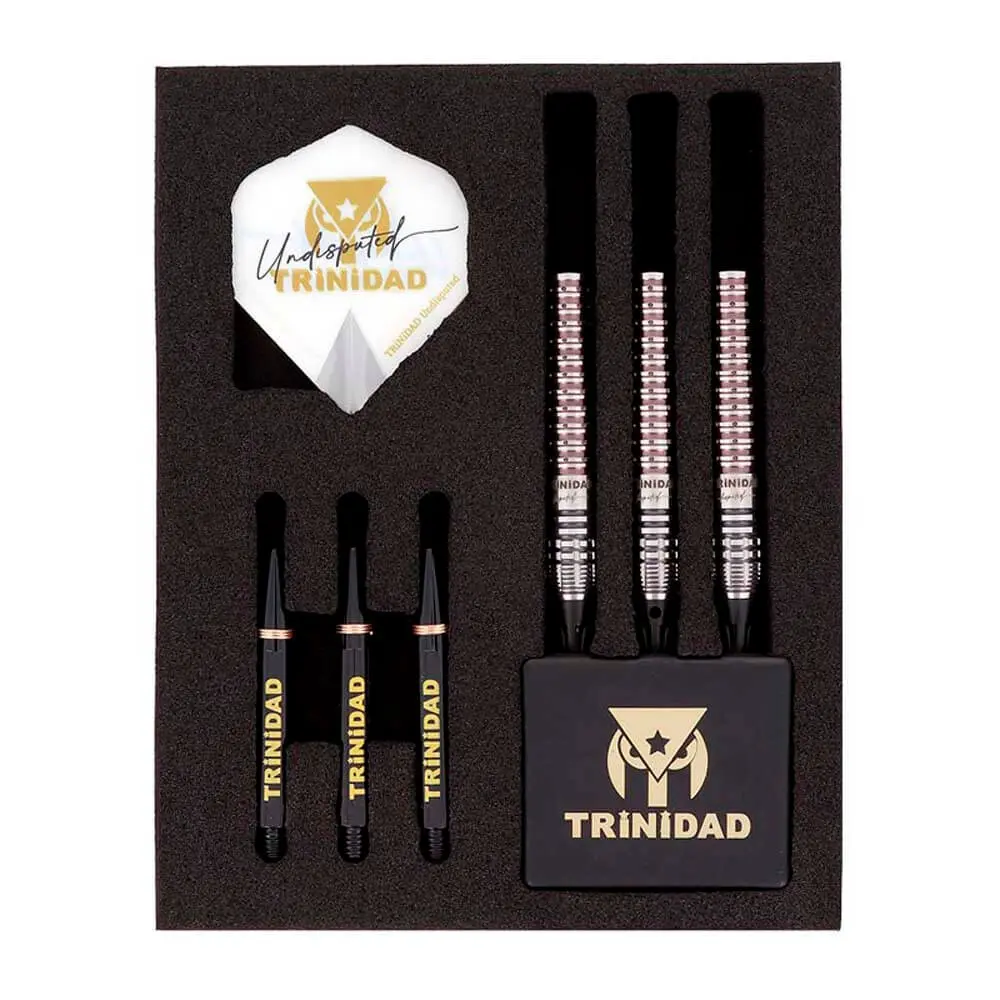 Dardos Trinidad Darts Undisputed KID Type3 Tomoya Goto 90% Tungsteno 21g Profesionales vista 5