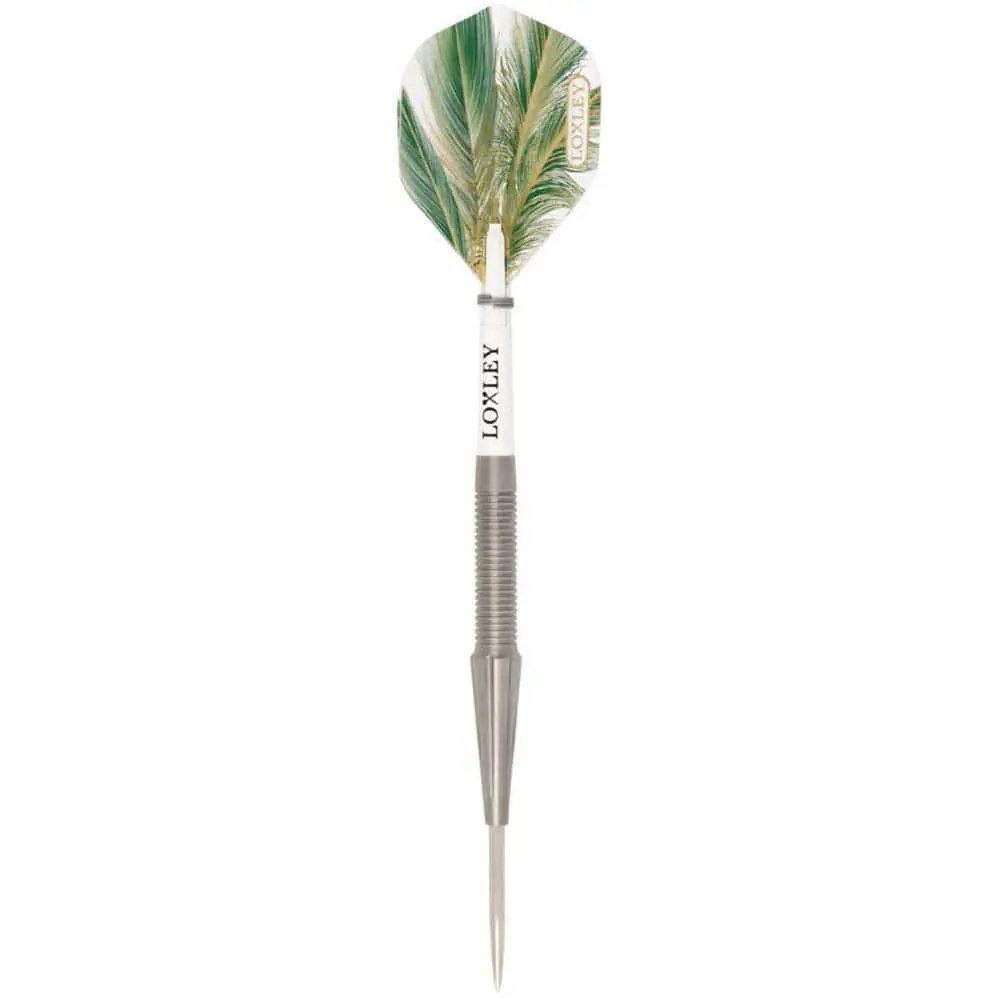 Dardos Loxley Darts Robin Pro Tour Model 1 90% 23g Punta Acero vista 2
