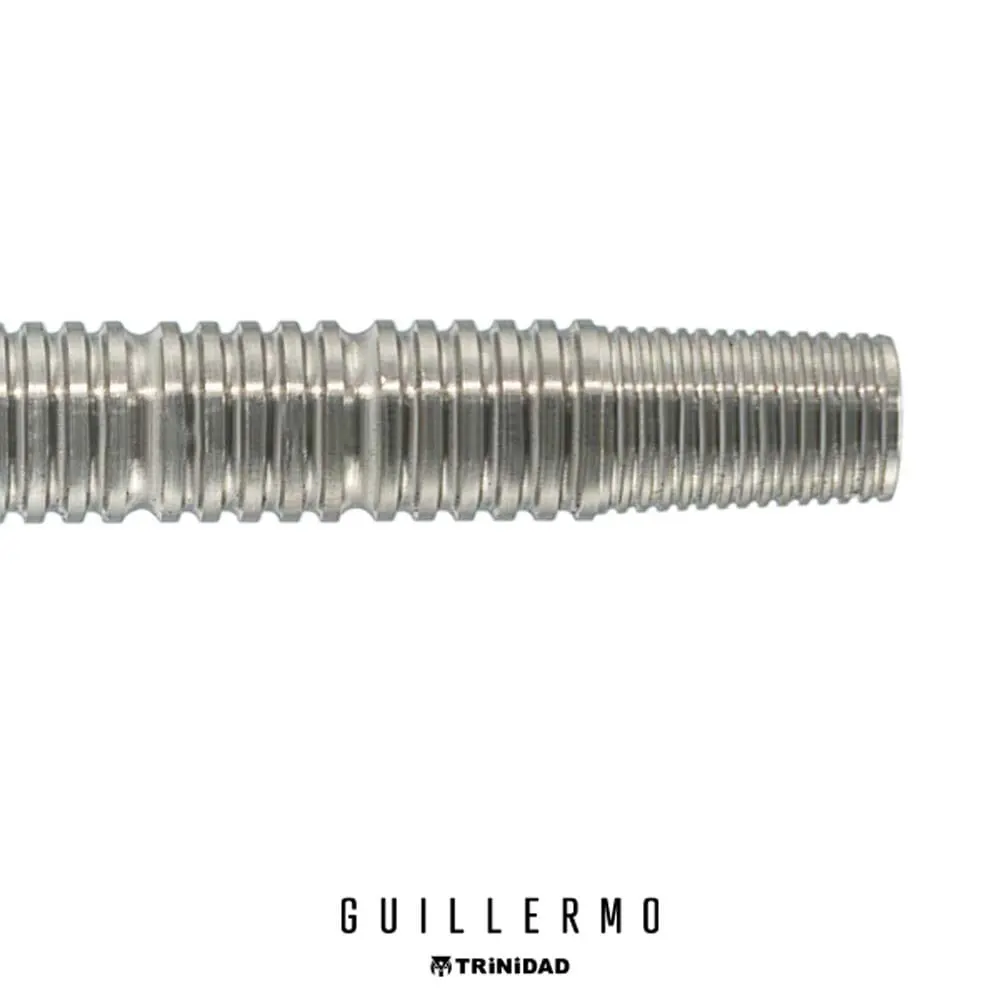 Dardos Trinidad Darts Guillermo 90% Tungsteno 20.5g Profesionales vista 3