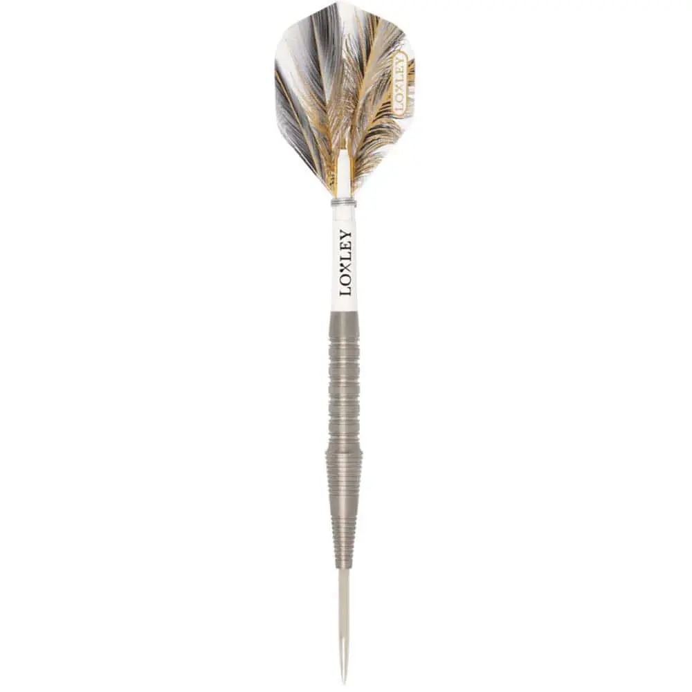 Dardos Loxley Darts Robin Pro Tour Model 2 90% 22g Punta Acero vista 2
