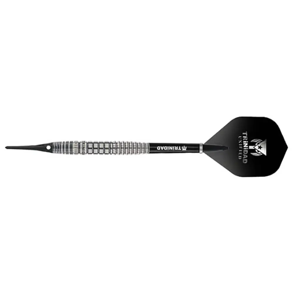 Dardos Trinidad Darts Gonzalez Type6 Teppei Nishi 21gr 90% vista 3