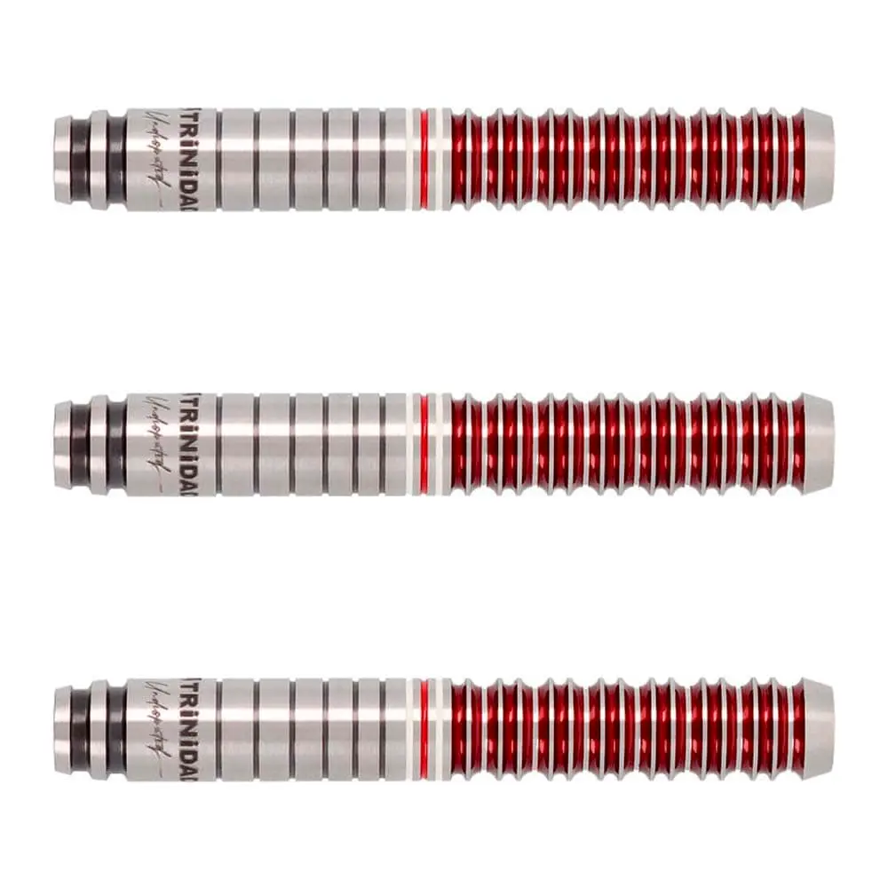 Dardos Trinidad Darts Gomez Type16 Yuki Yamada 90% Tungsteno 22.6g Profesionales vista 2