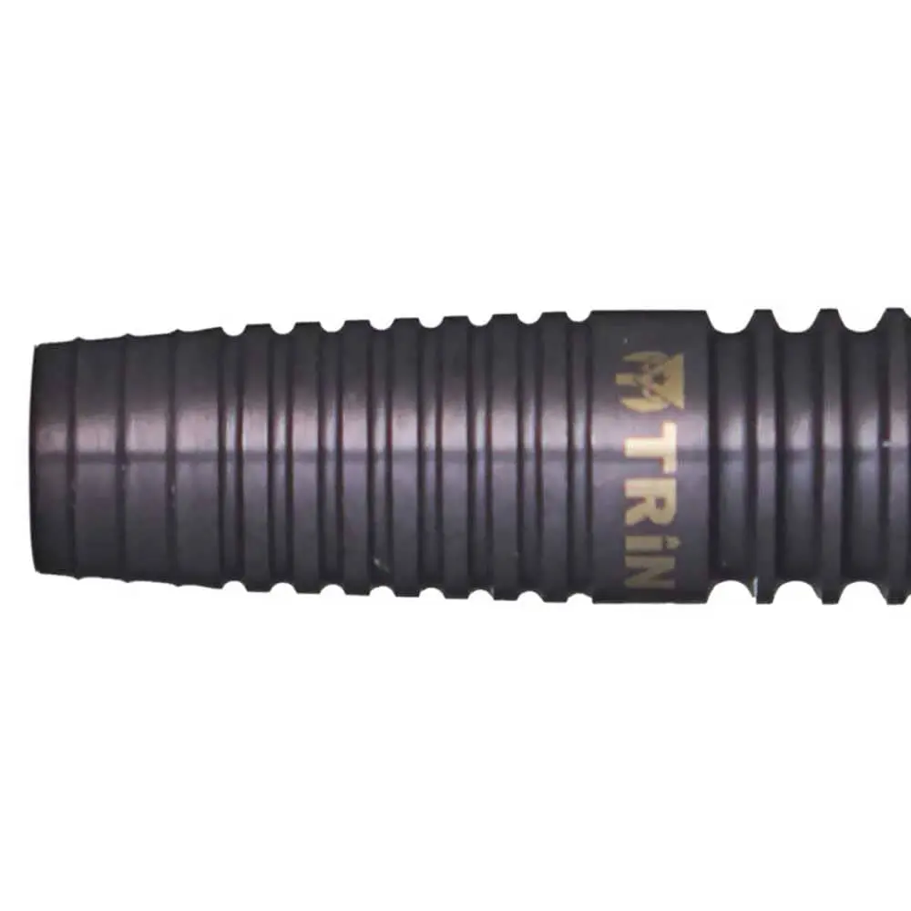 Dardos Trinidad Darts Gonzalez Type 5 P.Plastico 90% Tungsteno 20g Profesionales vista 6