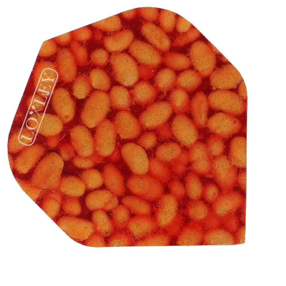 Plumas Loxley Darts Baked Beeney Estandar no2 vista 2