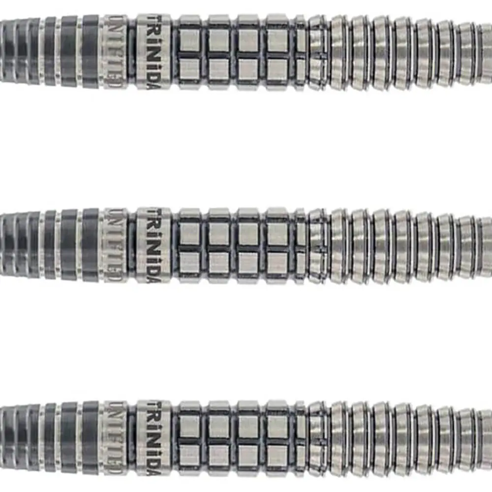 Dardos Trinidad Darts Gonzalez Type6 Teppei Nishi 21gr 90% vista 2
